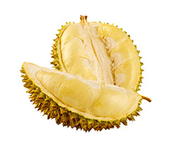 素材--产品名称三